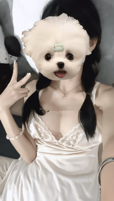 推特Onlyfans极品性瘾情侣 Pedd 69XH 各种自拍 4.62G